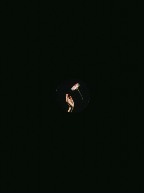 Hand Reaching for Flower in Circular View