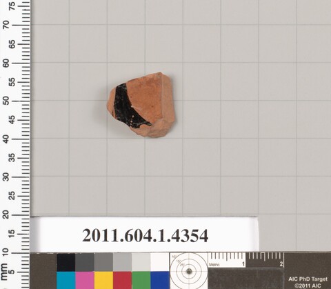 Ancient Pottery Fragment Specimen