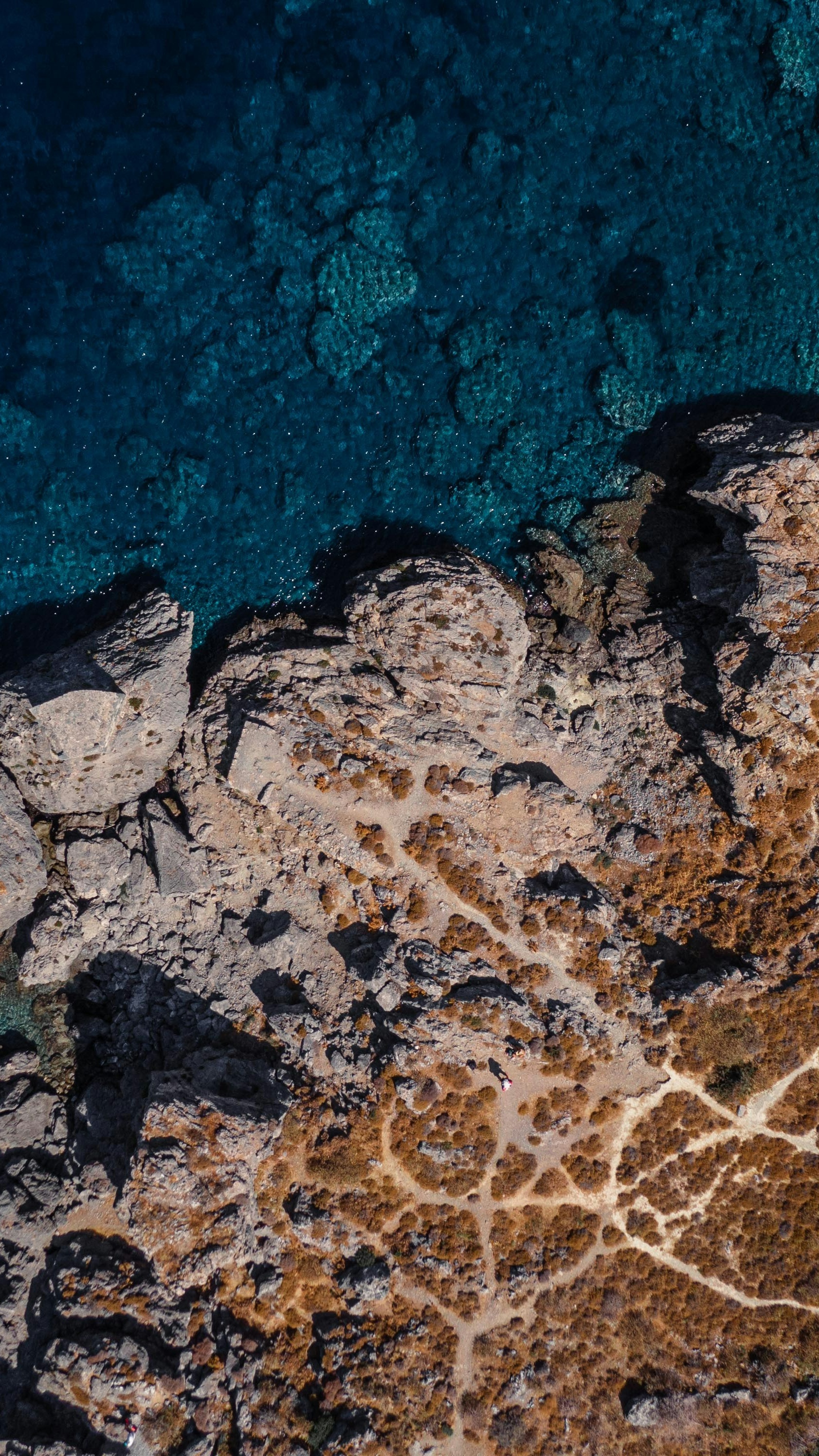 Wallpapers