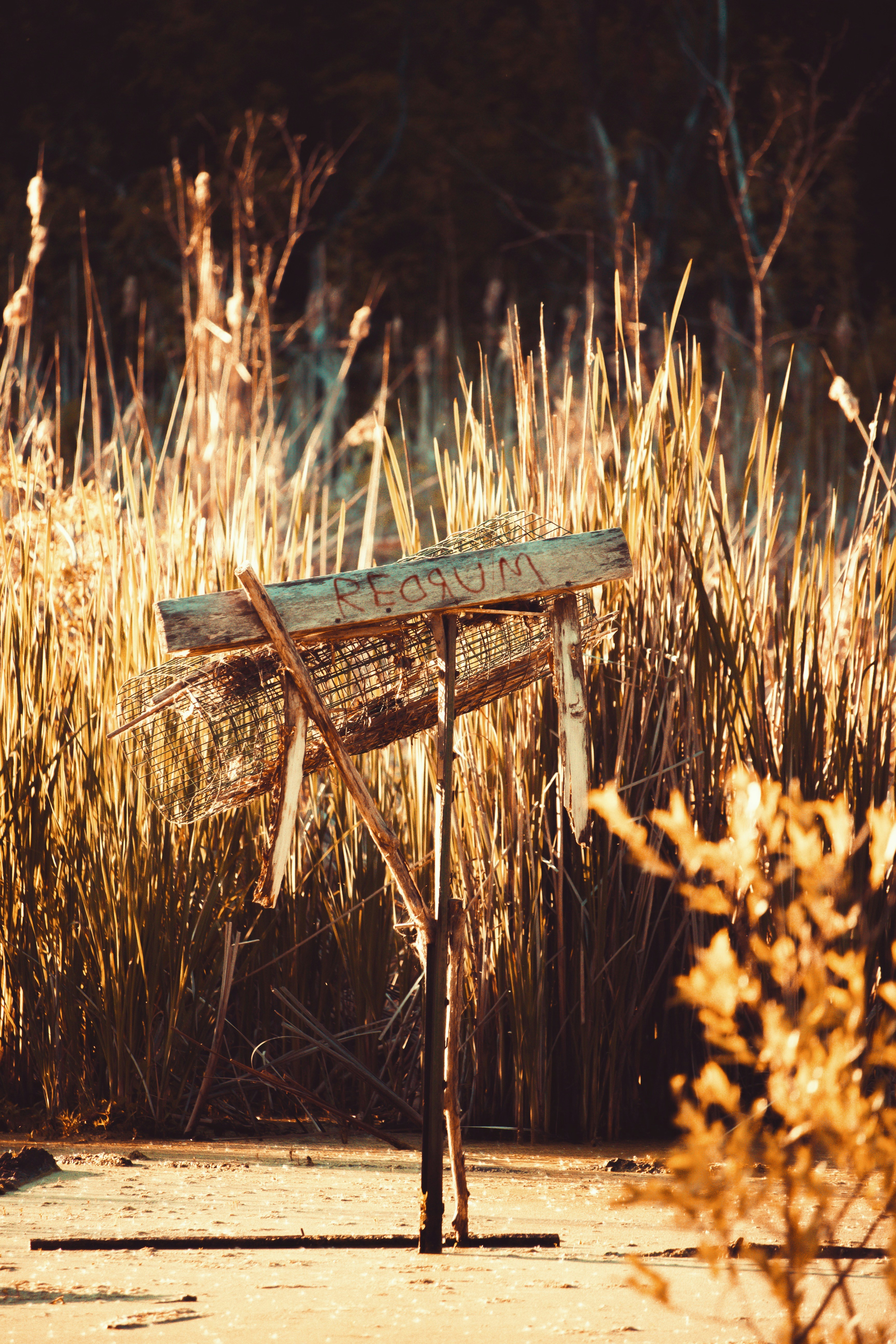 Redrum Sign in Reedy Wetland
