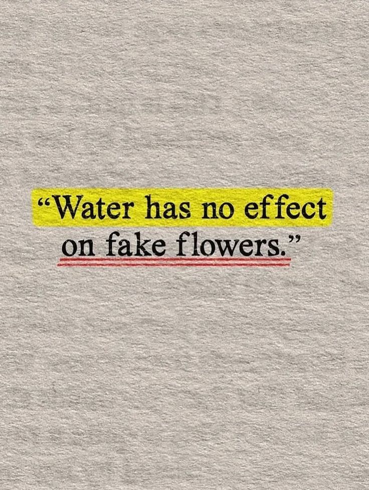 Highlighted Quote About Fake Flowers