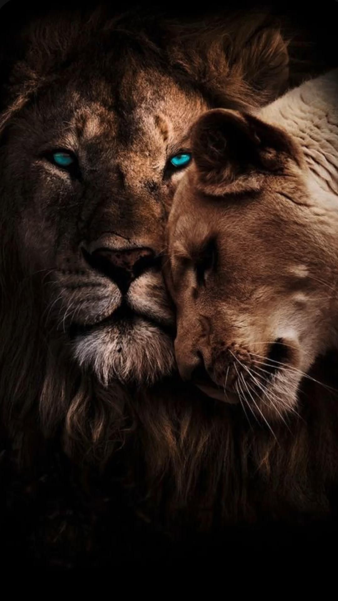 Wallpapers