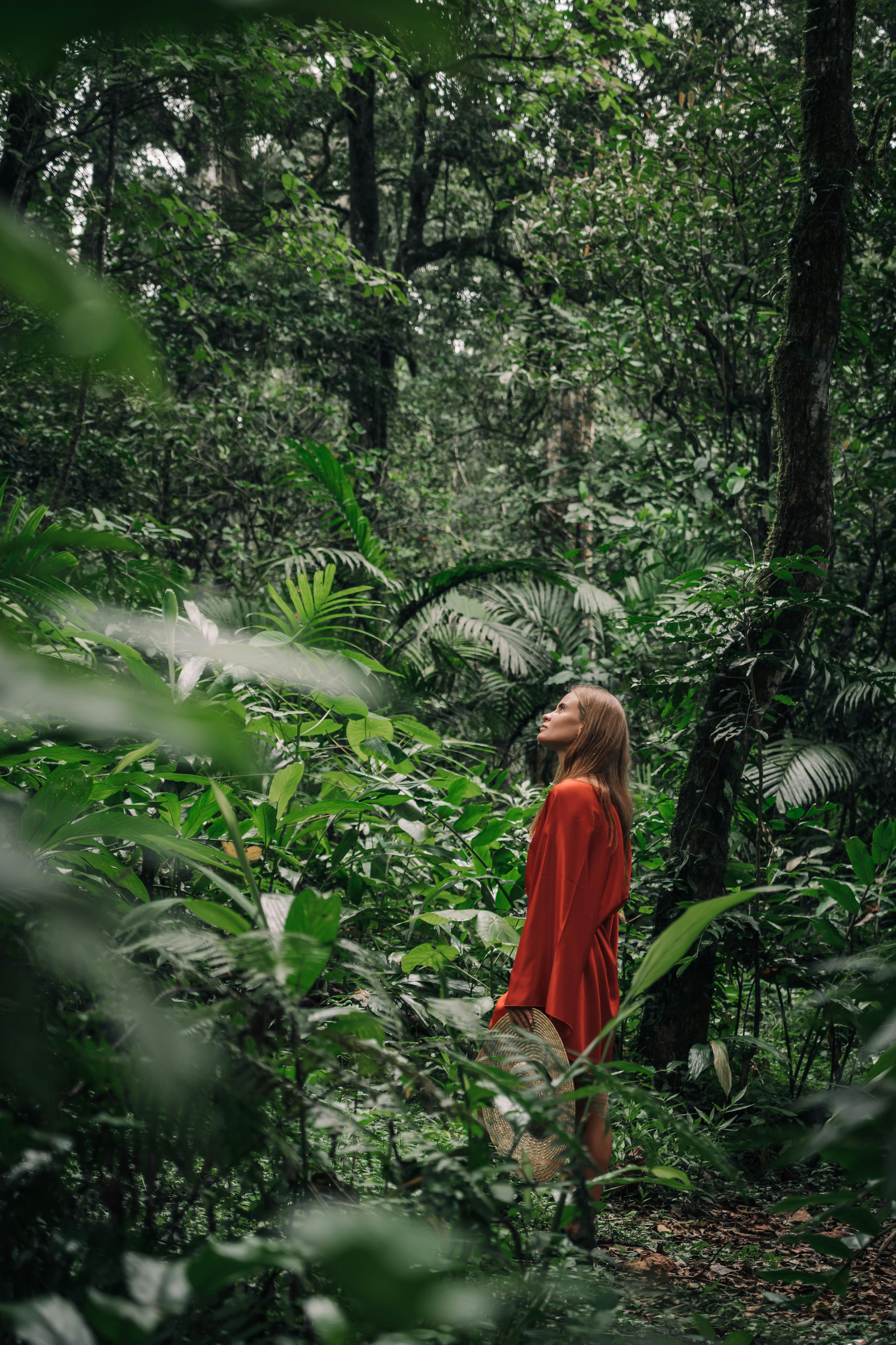 Forest & Flora