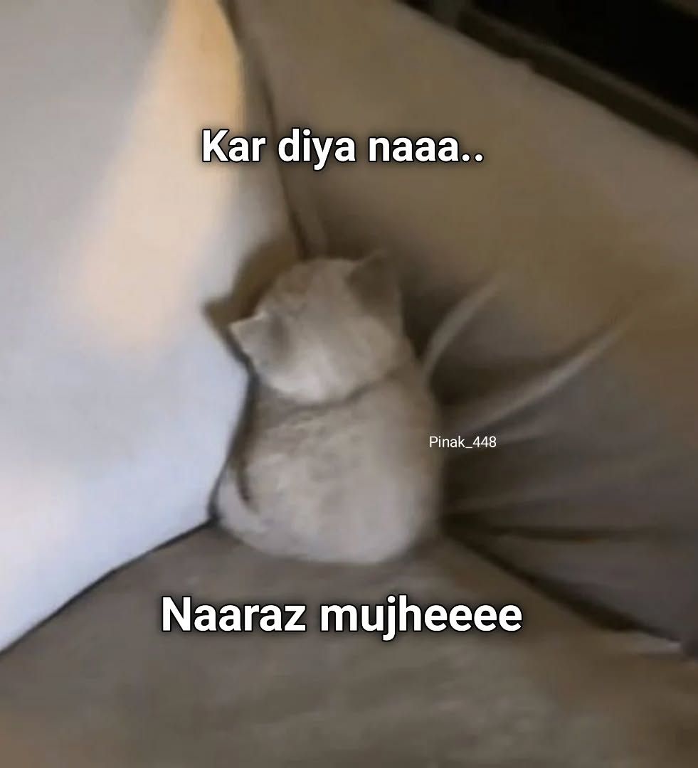 Sad Hiding Cat Meme