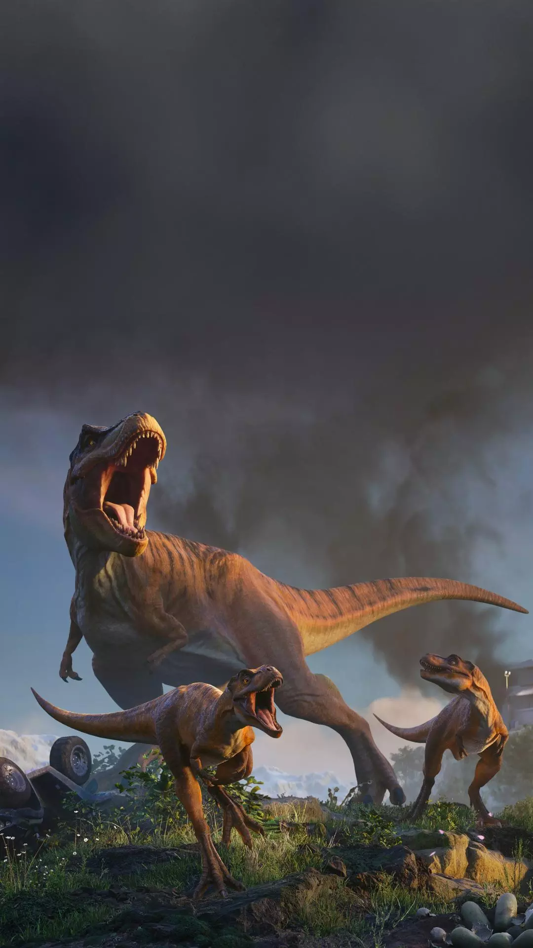 Wallpapers