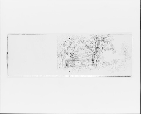 Pencil Sketch of Country Roadside