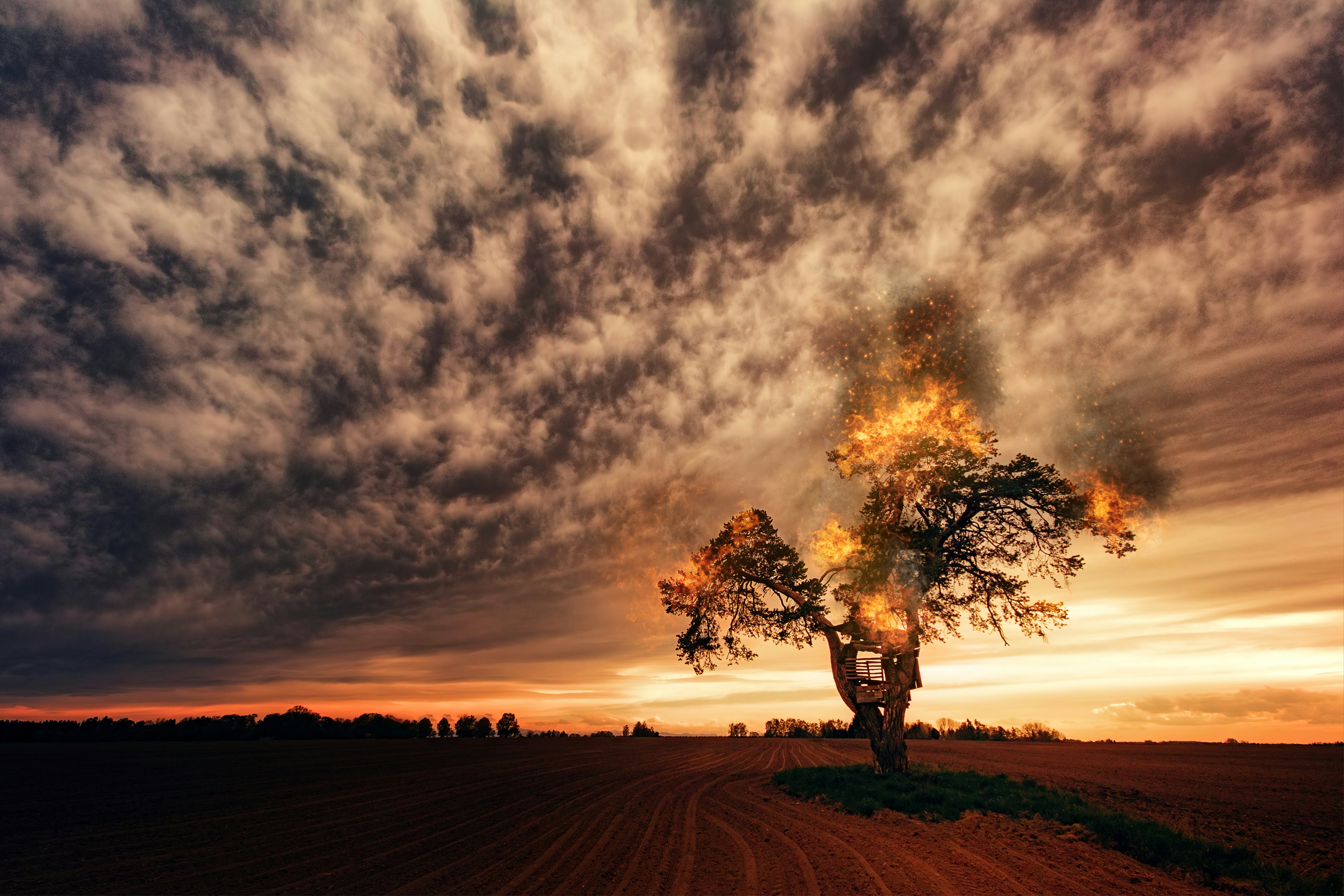 Burning Tree on Plowed Field at Sunset