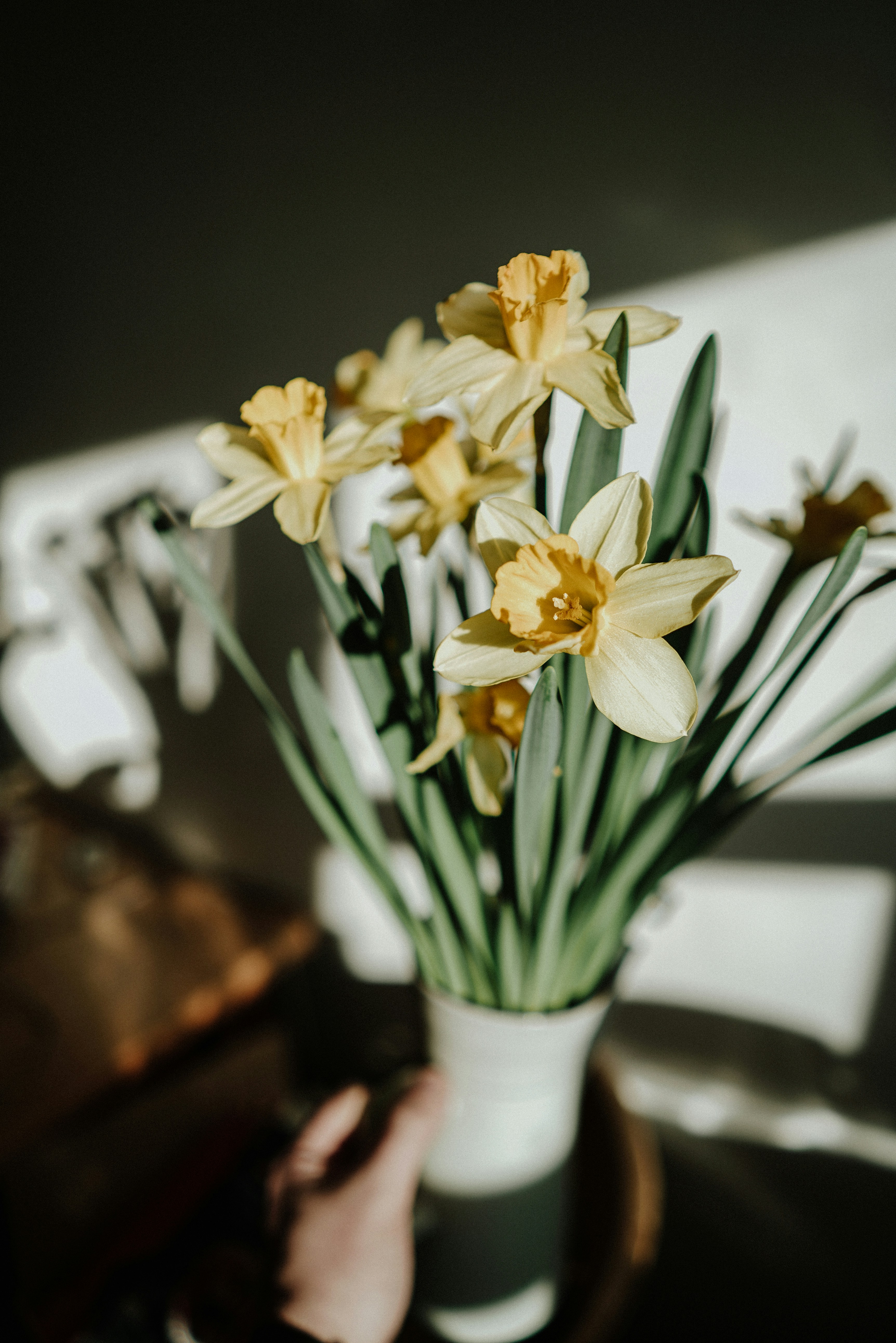 Yellow Daffodils in Vase