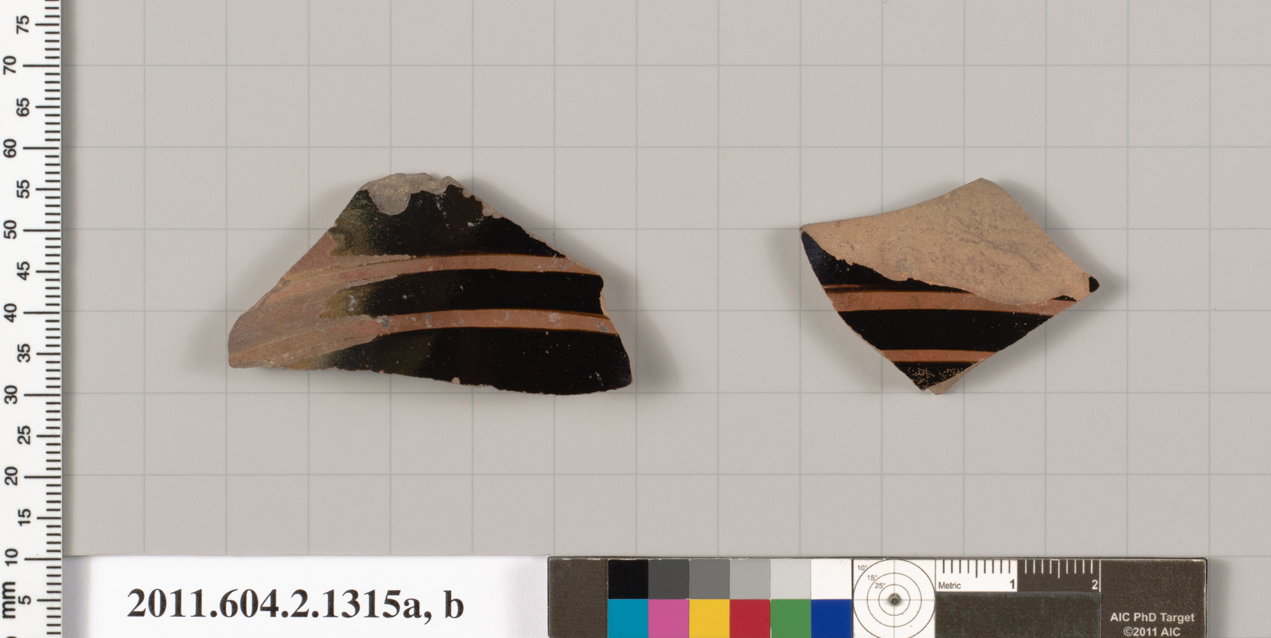 Two Ancient Pottery Shards