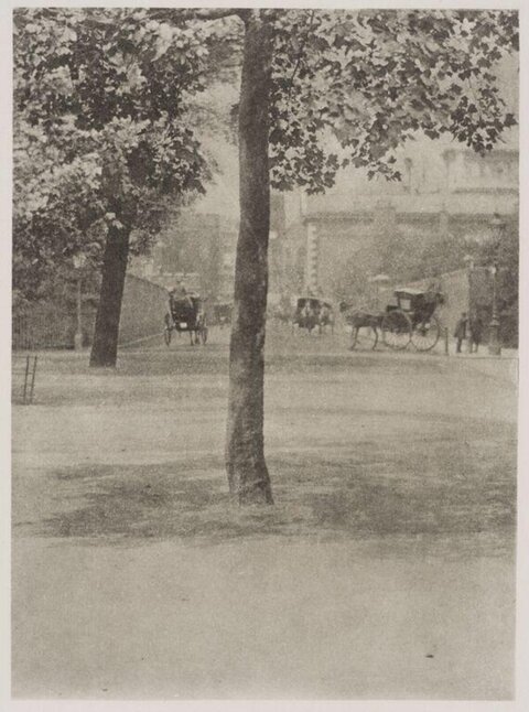 Vintage City Park Horse Carriage Scene