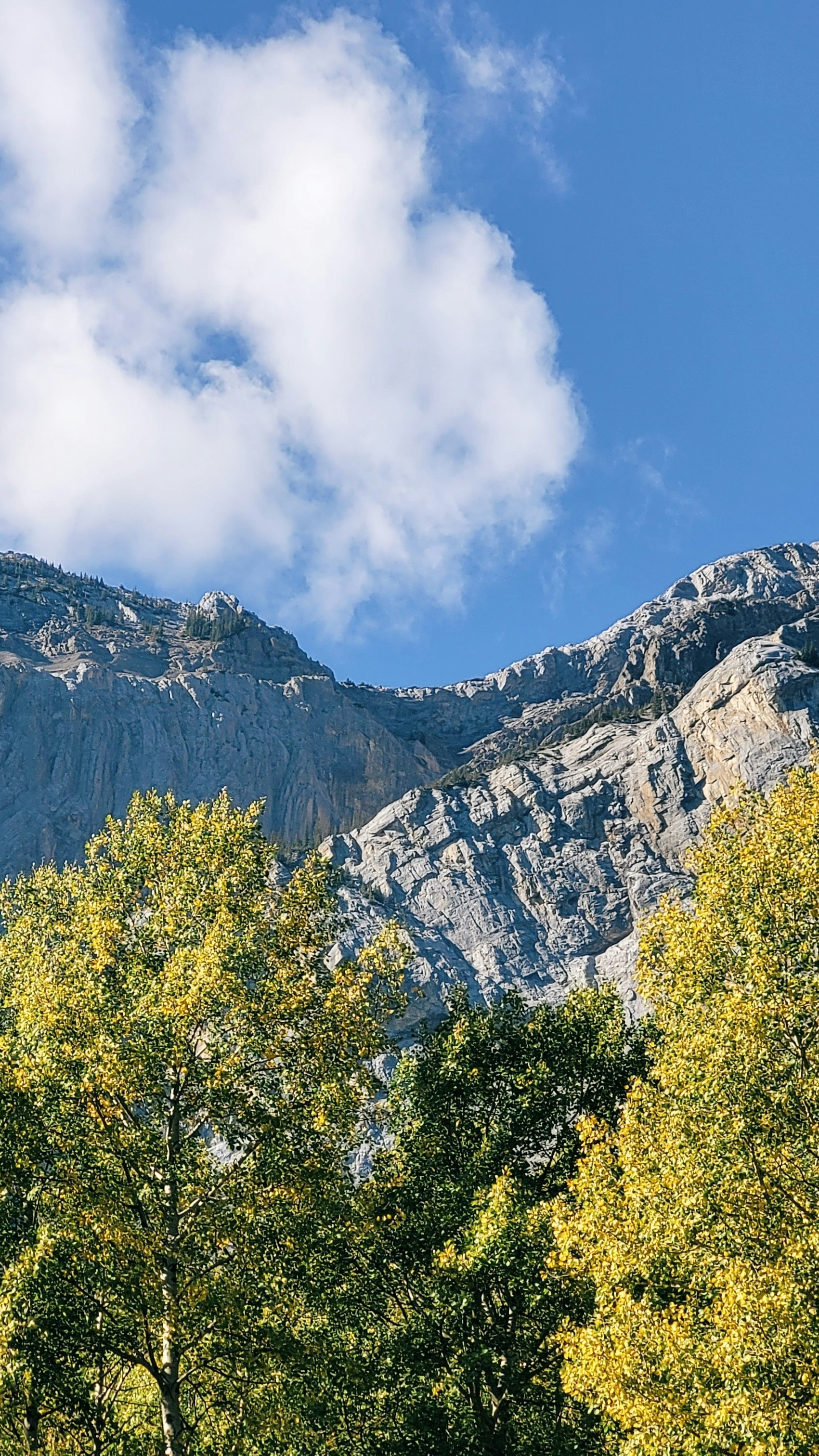 Rocky Mountain Autumn Landscape
