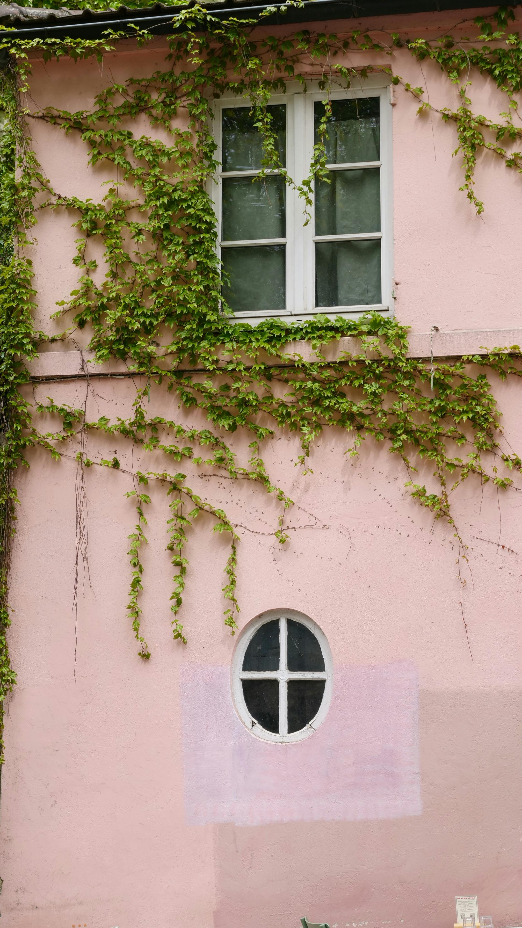 Home Decoration