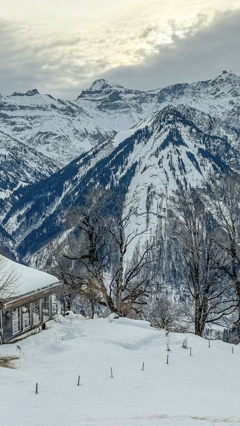 Snowy Winter Mountain Cabin View