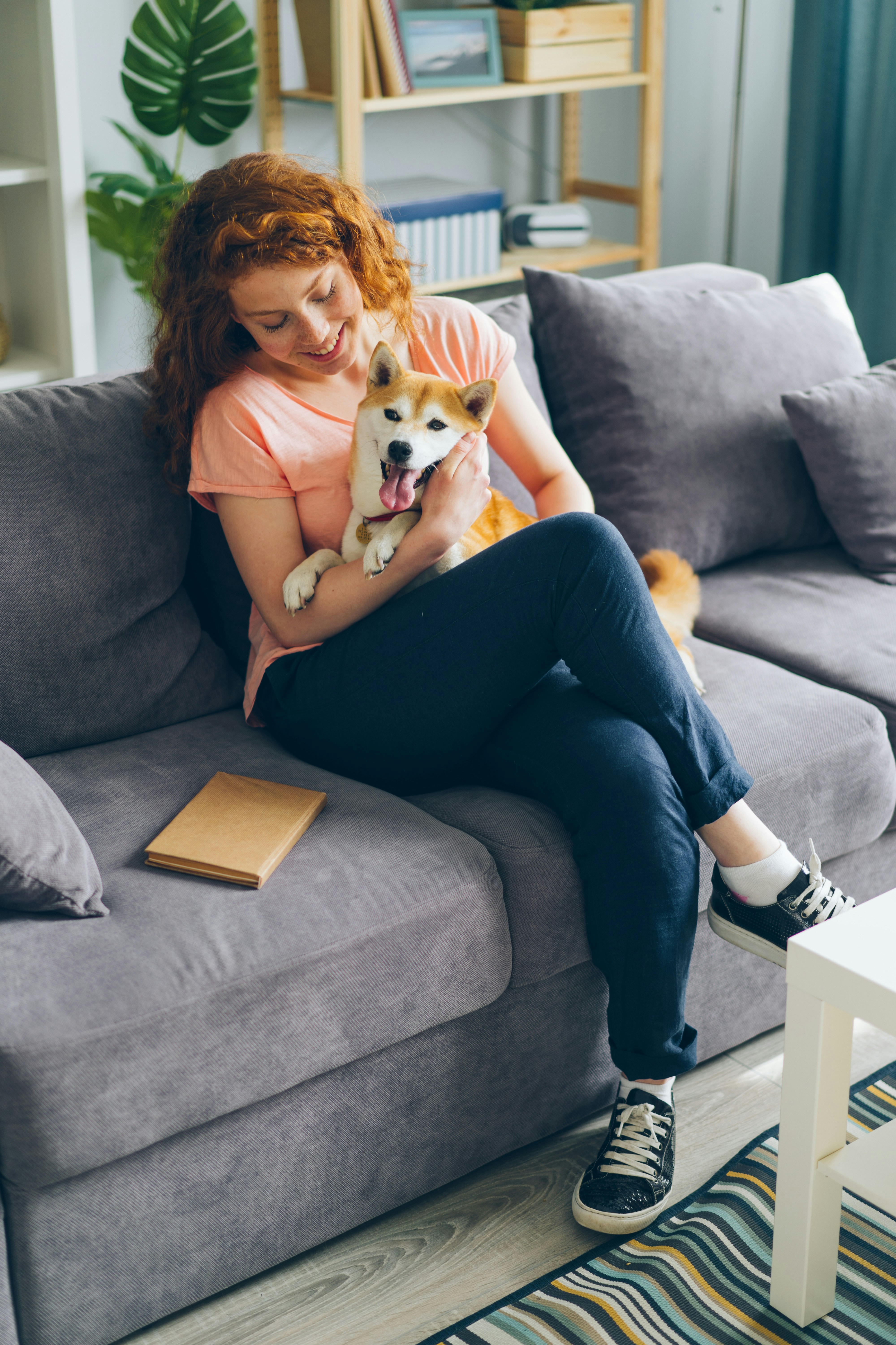 Woman Cuddling Shiba Inu on Living Room Couch