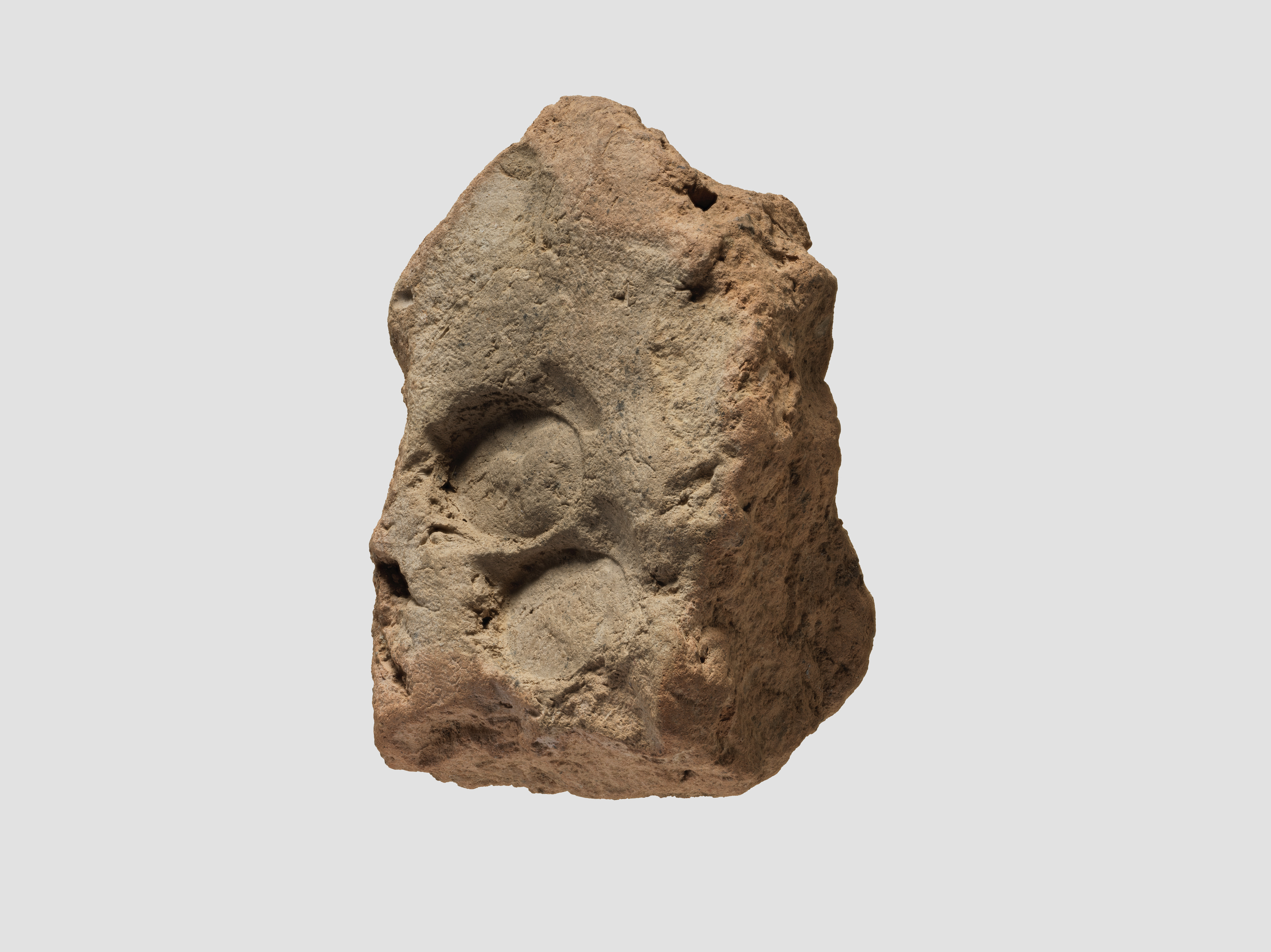Rock with Two Fossil Imprints