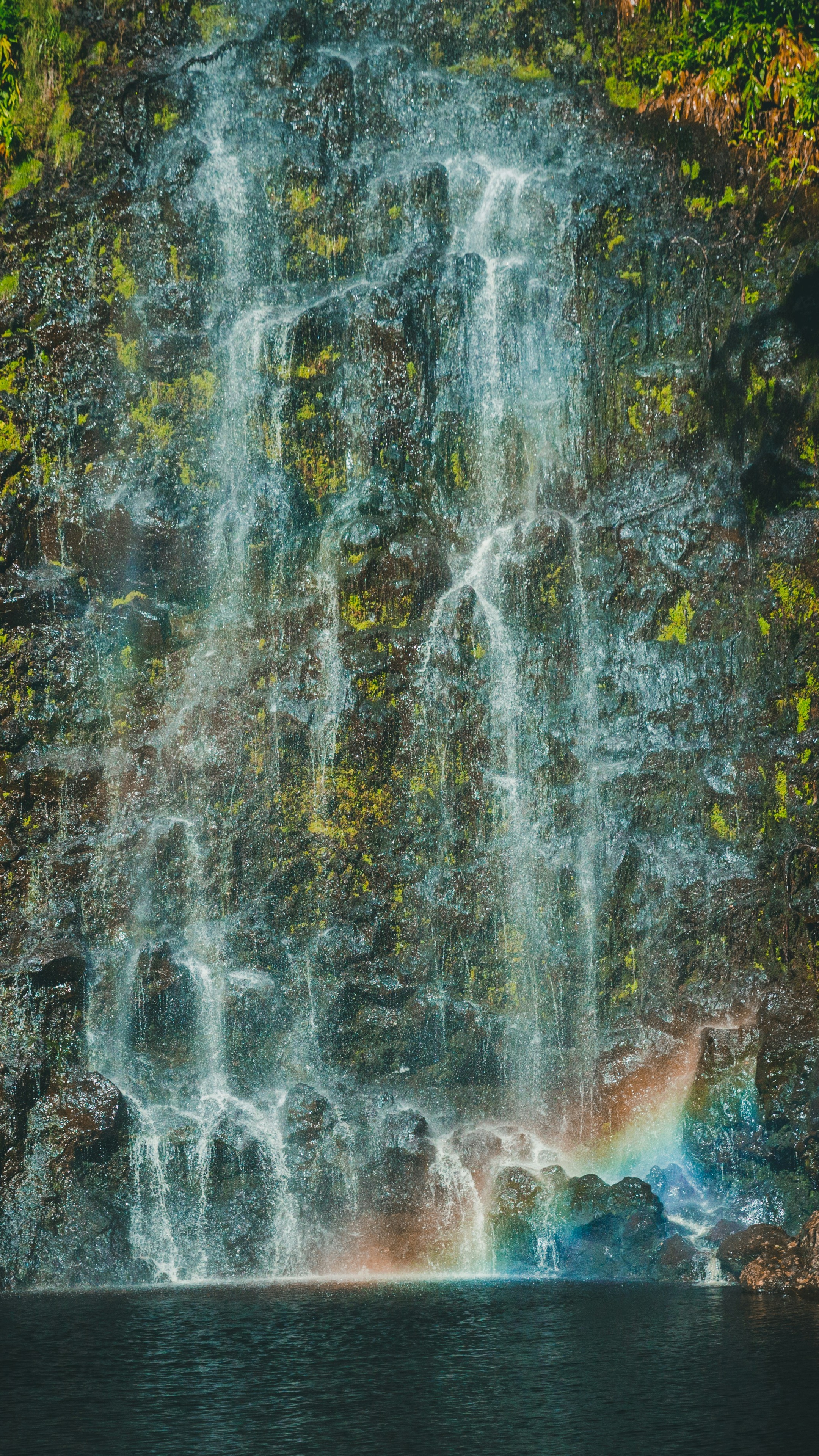 Wallpapers
