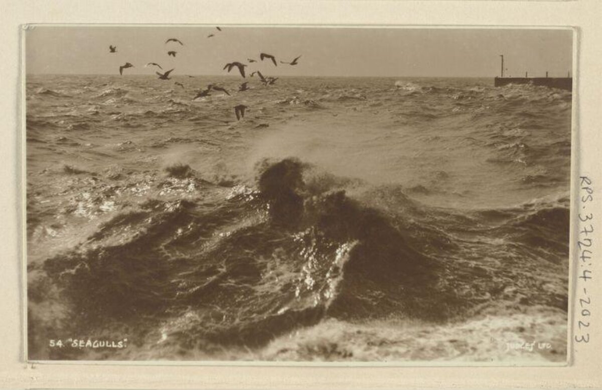 Seagulls Over Stormy Sea