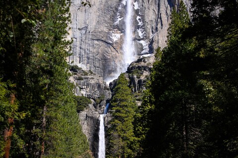 Waterfall Framed by Dense Forest