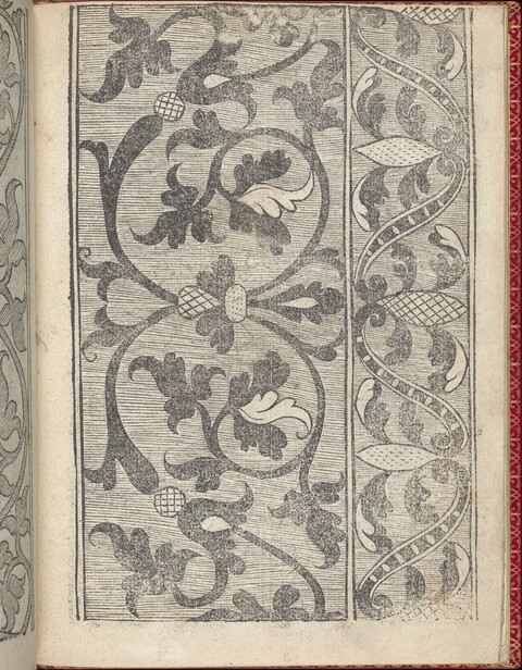 Antique Vine Ornament Woodcut Pattern