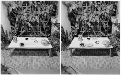 Side by Side Food Arrangement Comparison