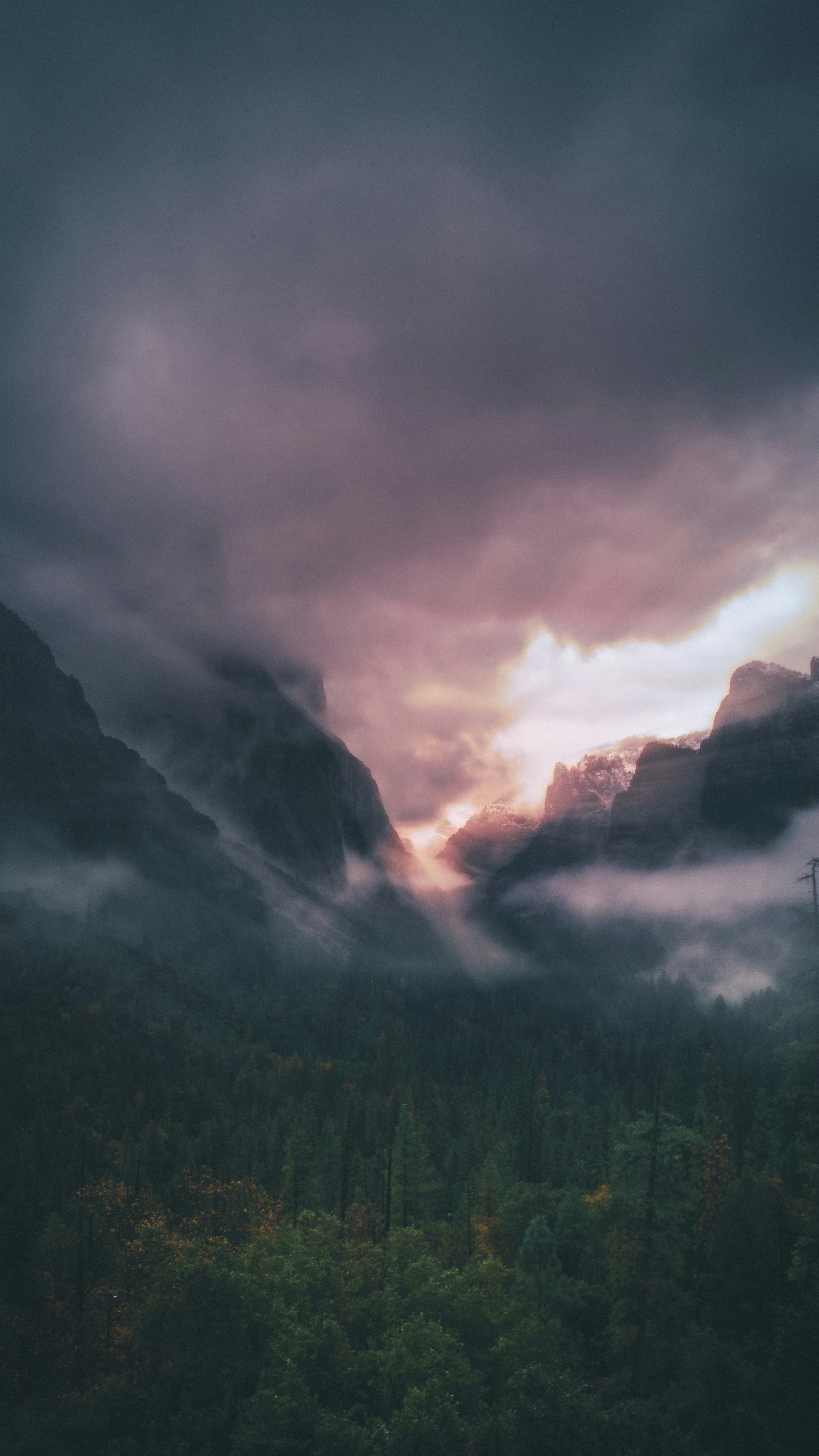 Wallpapers