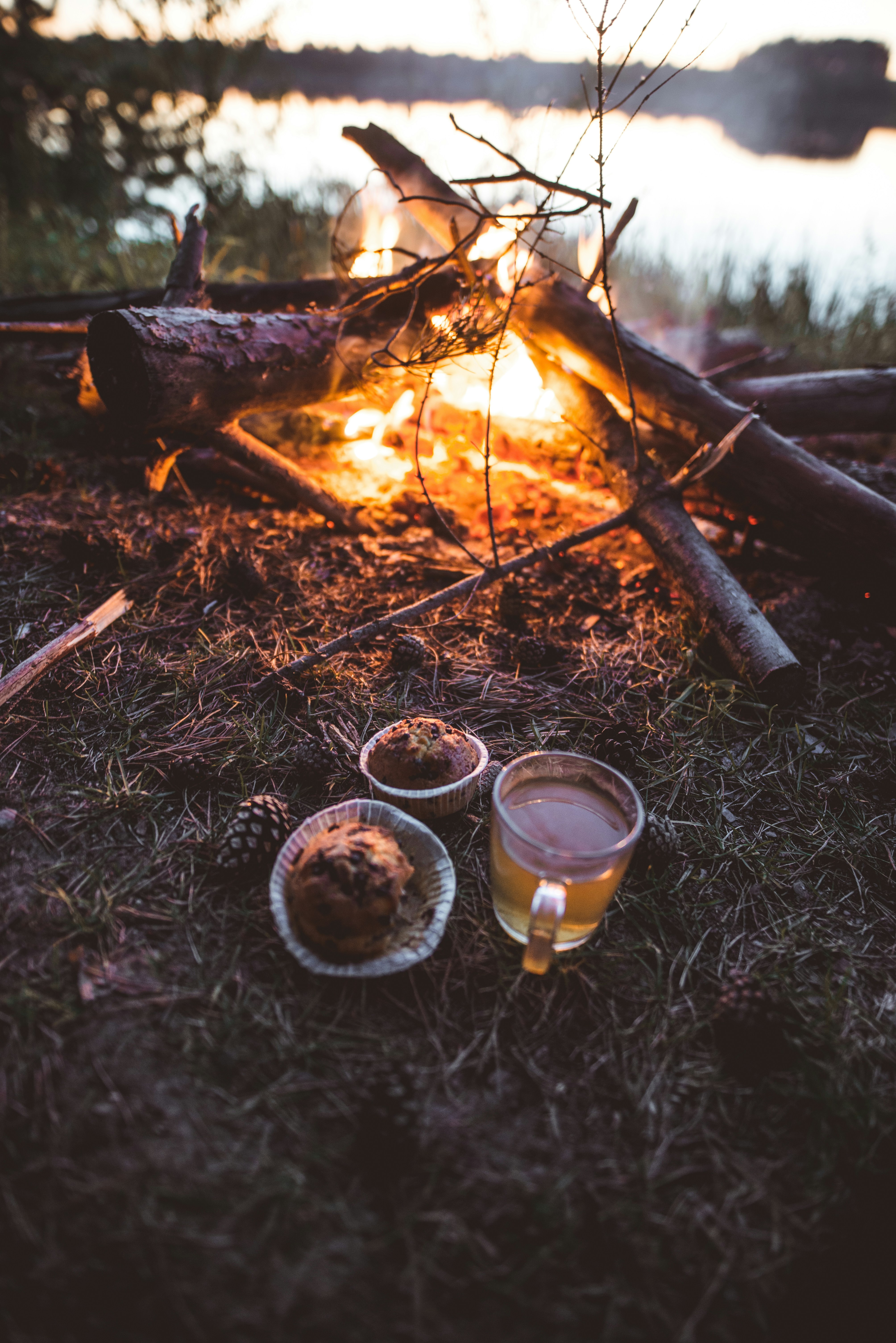 Lakeside Campfire With Snacks