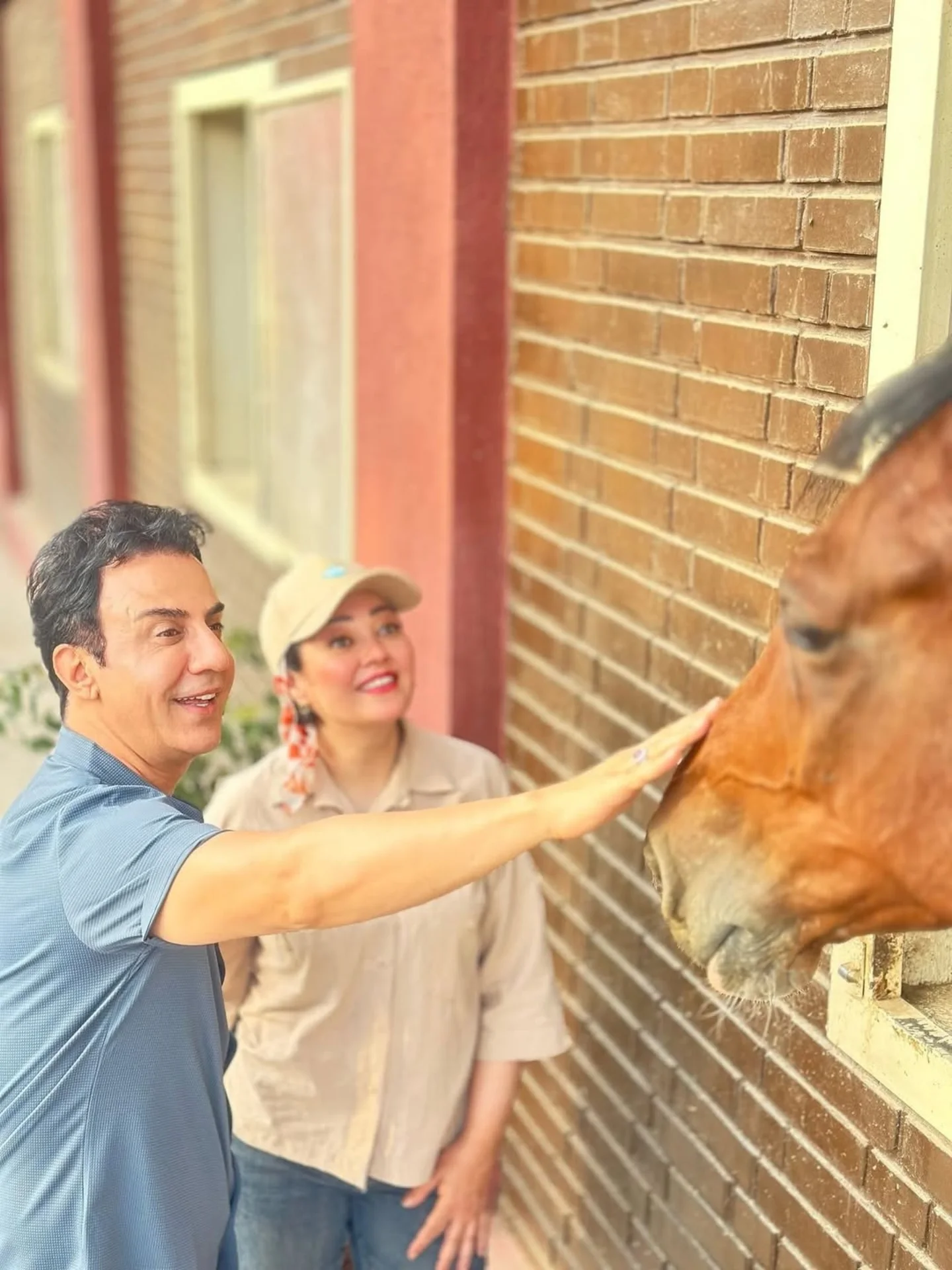 Man Petting Horse Beside Brick Wall