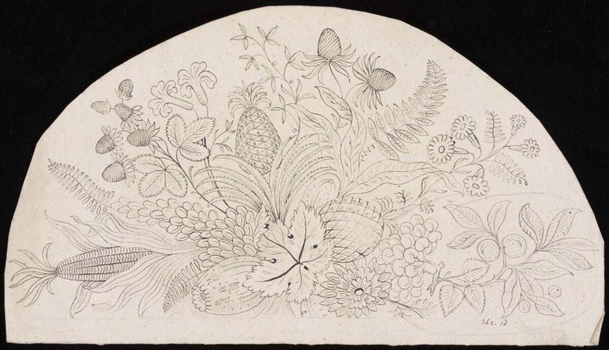 Semicircular Fruit and Flower Ink Sketch