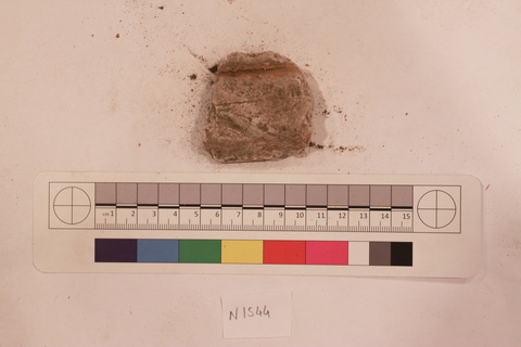 Archaeological Specimen Record Photo