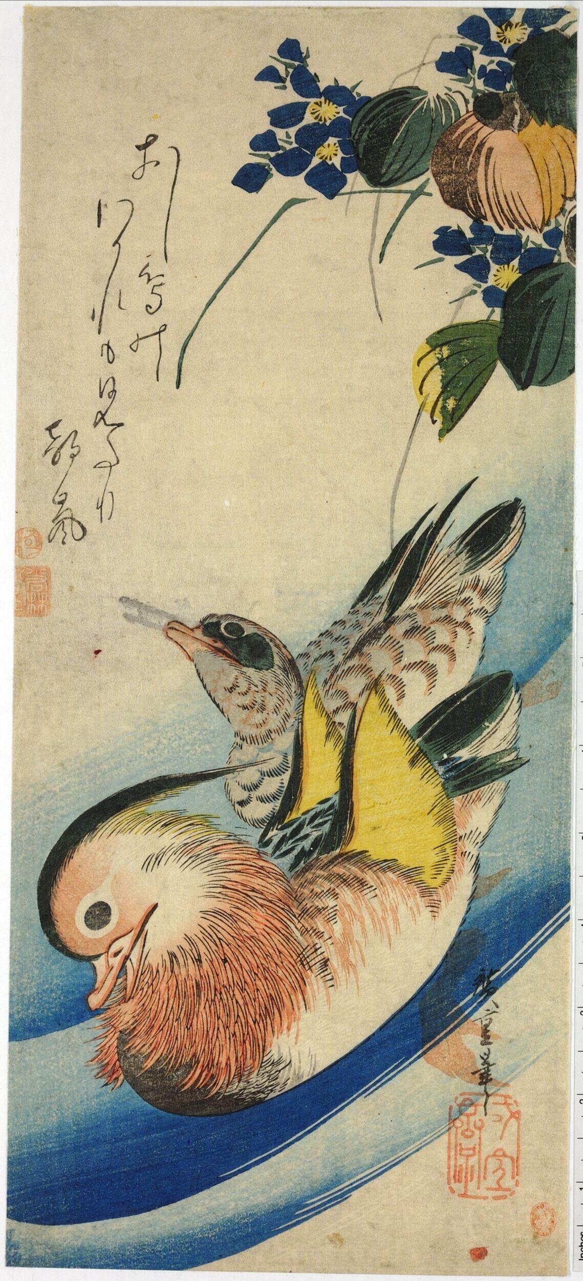 Two Mandarin Ducks on Water