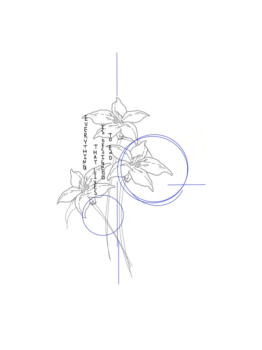 Line Drawing of Lilies with Quote