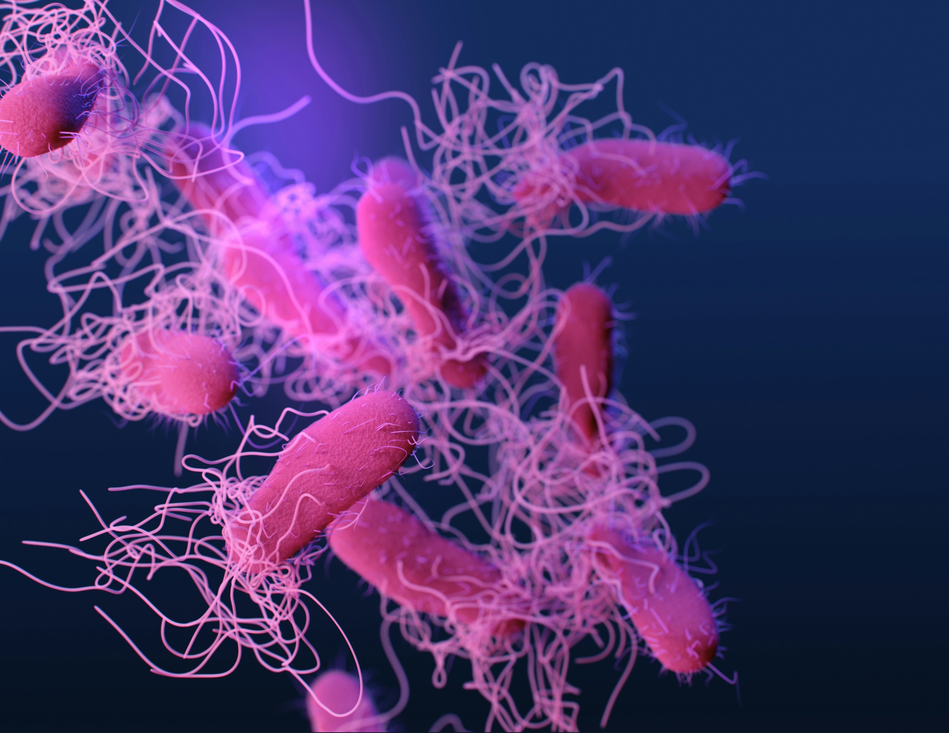 3D Rendered Rod-shaped Bacteria