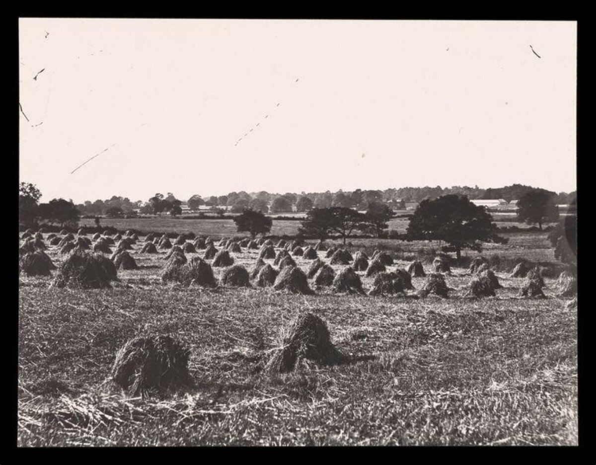 Vintage Farm Field with Haystacks