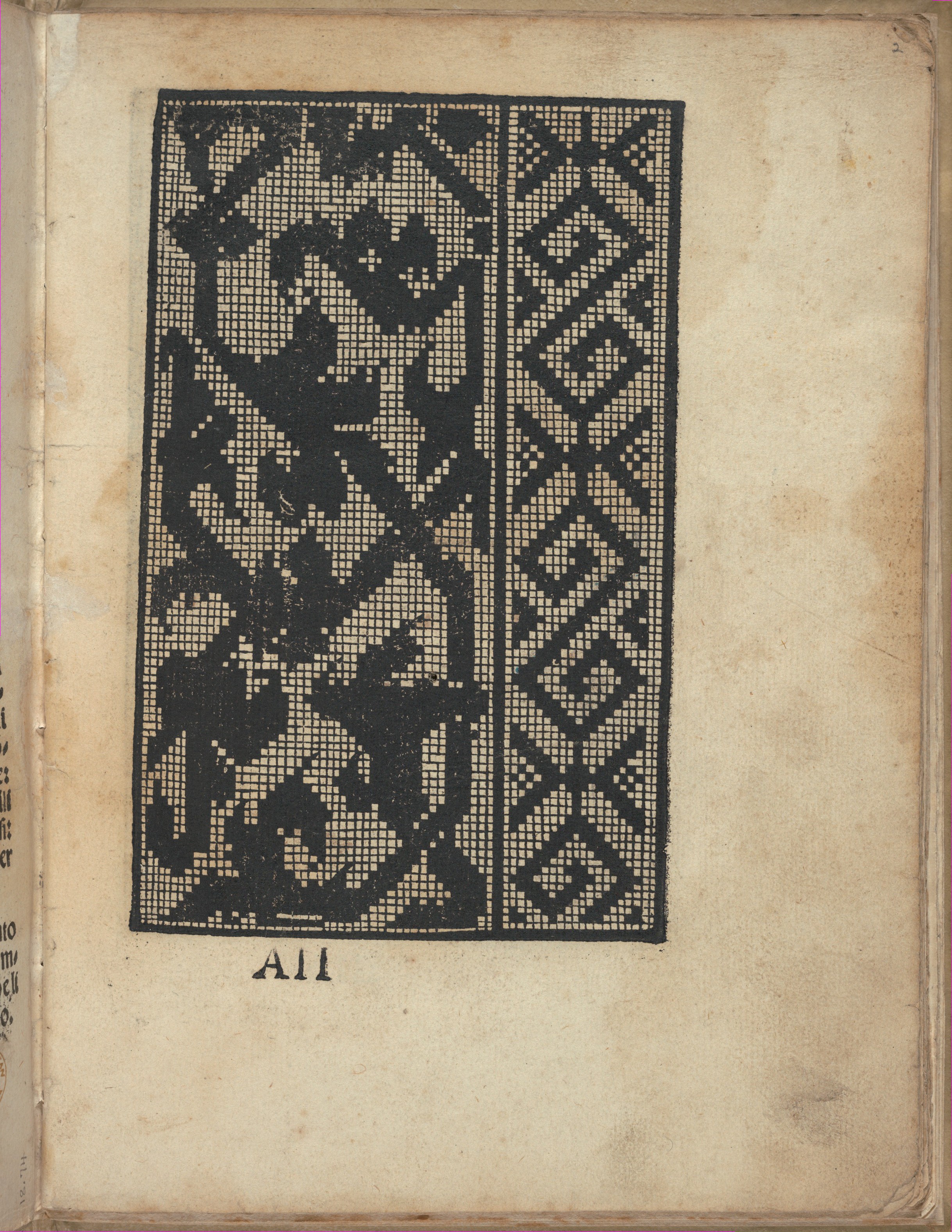 Antique Lace Pattern Print on Old Book Page