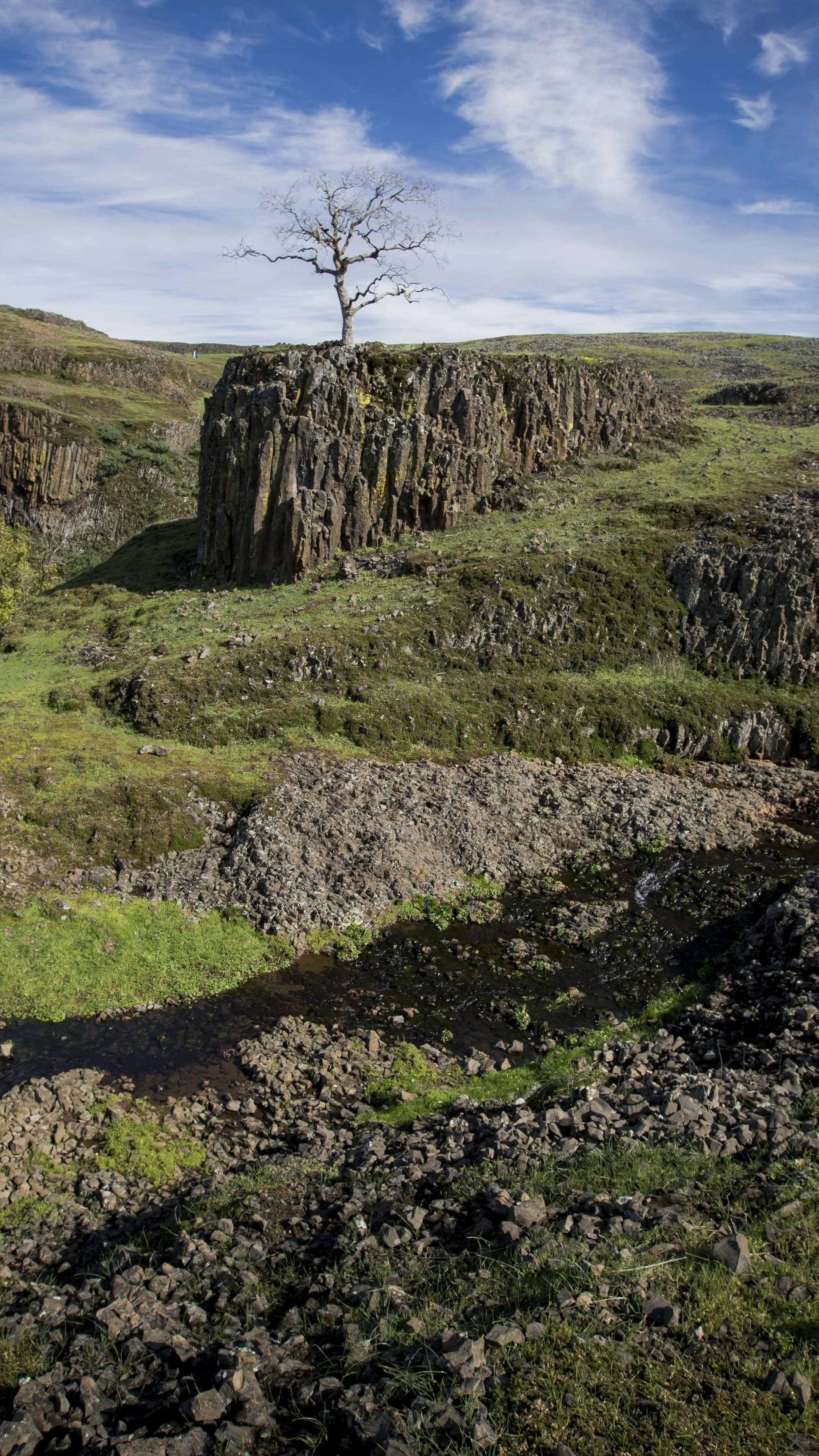 Image 1575625 — Nature