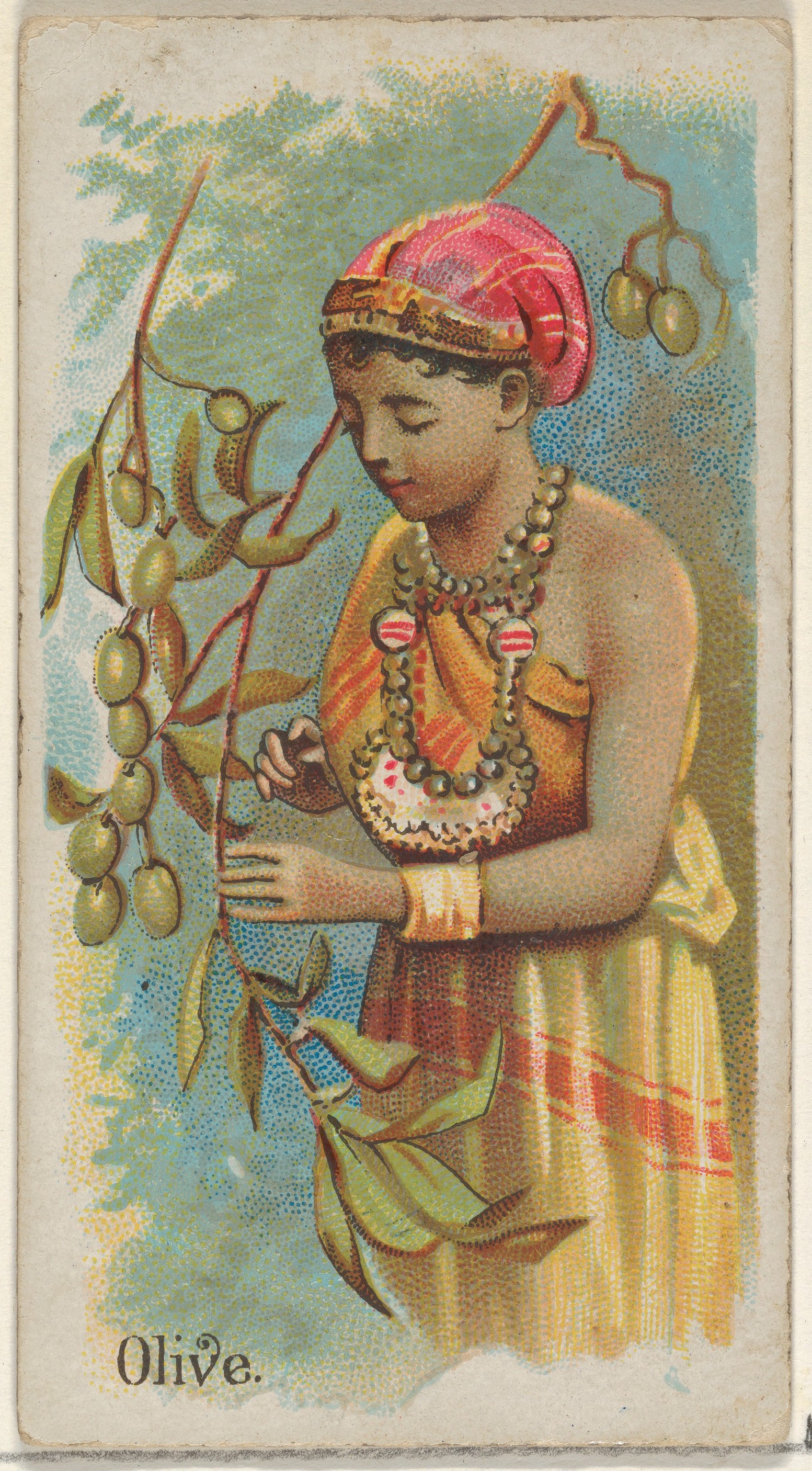 Vintage Olive Illustration Card