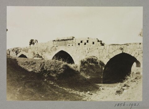 Old Stone Bridge with Camel