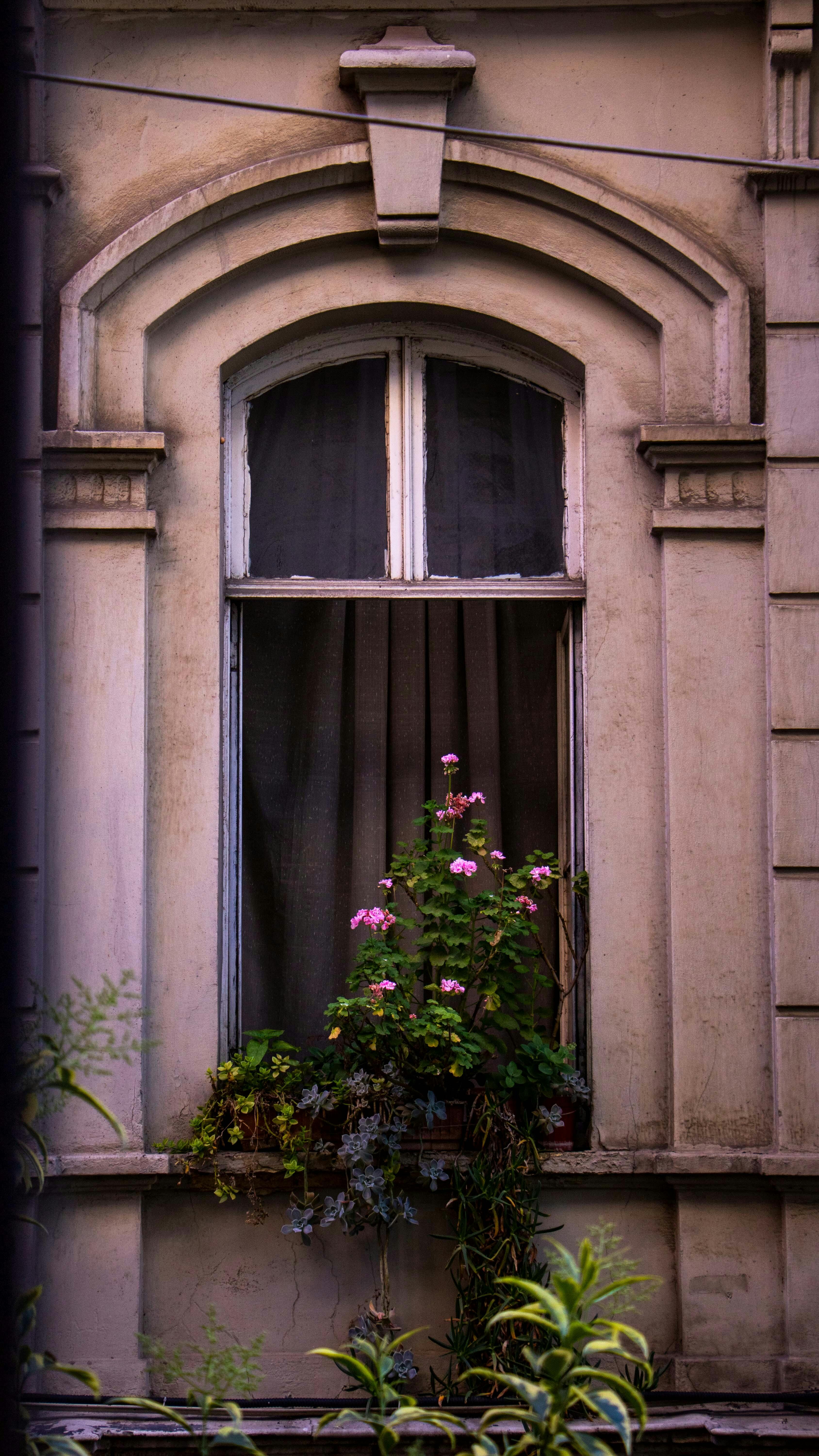 Old Arched Window with Potted Flowers