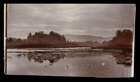 Vintage Lake Wetland Landscape