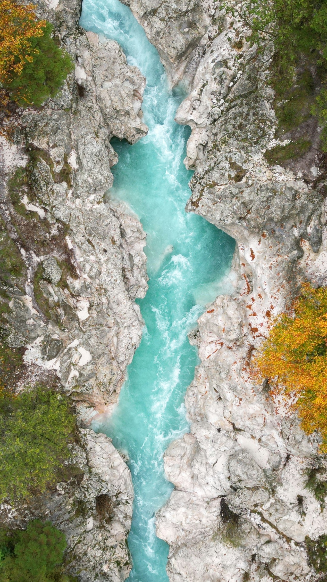 Wallpapers