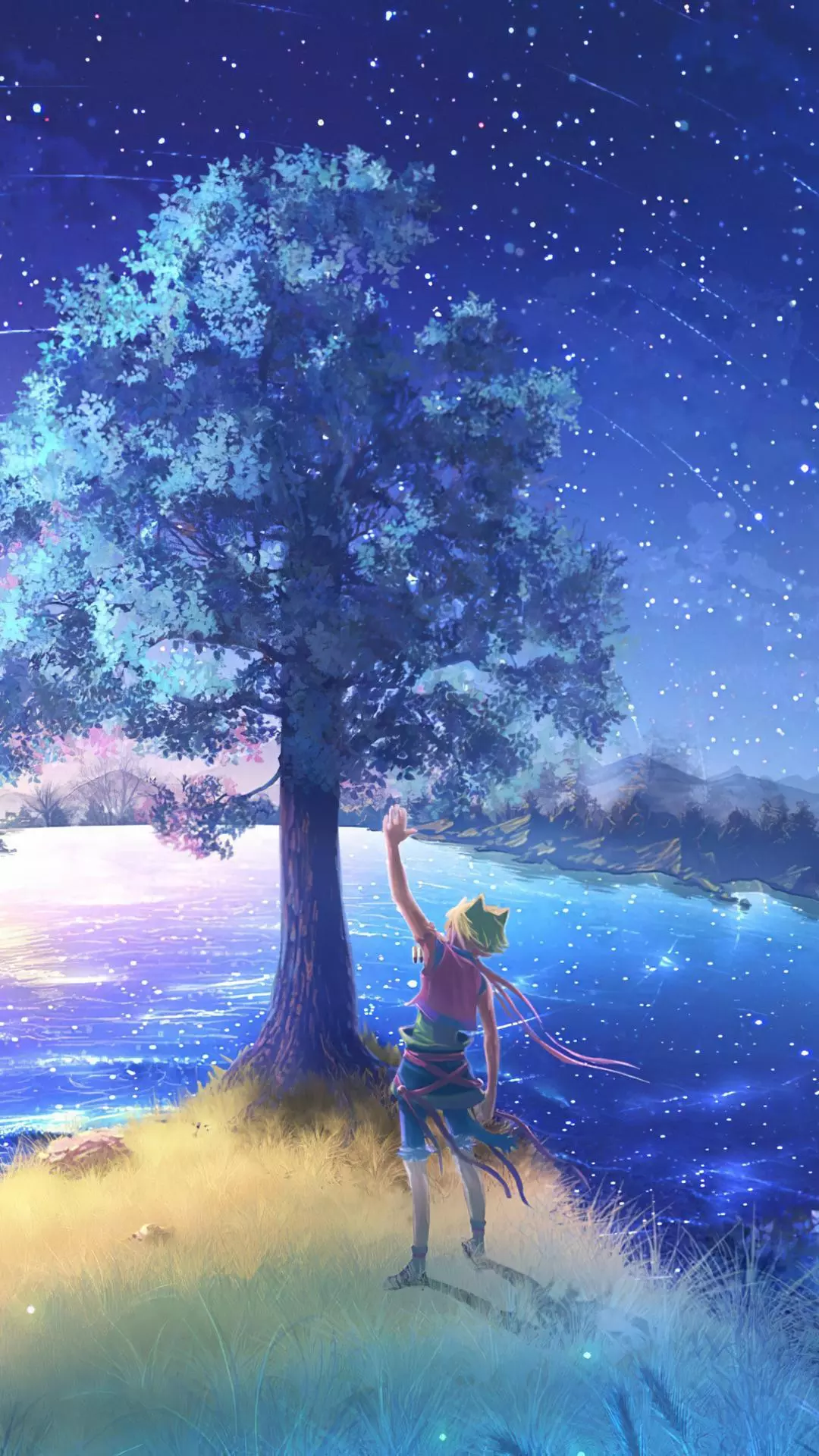 Wallpapers