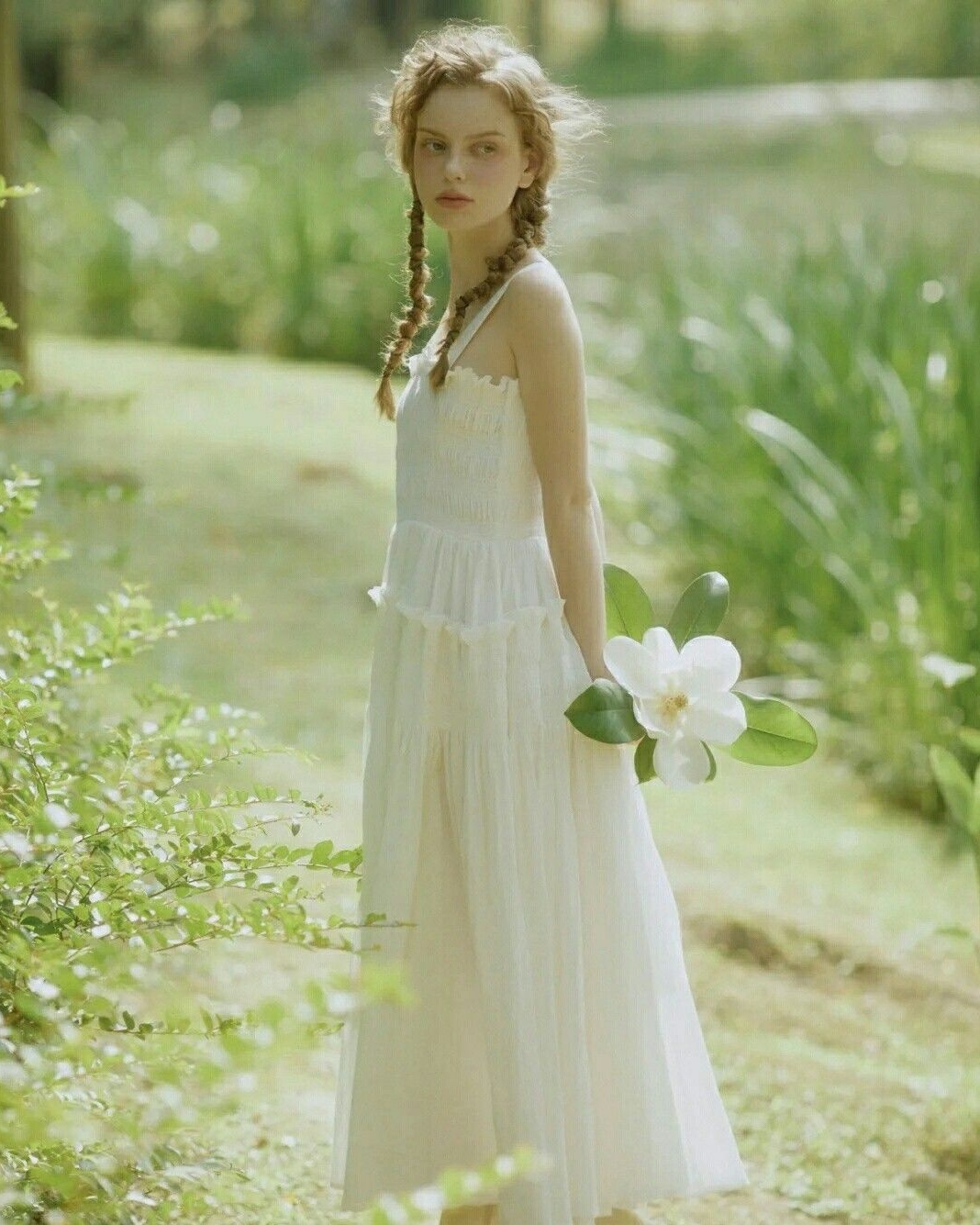 Forest & Flora