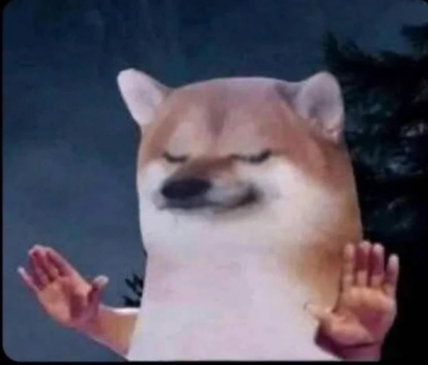 Shrugging Cheems Doge Meme
