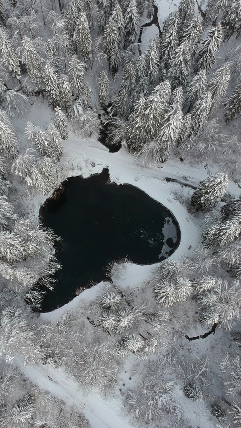 Aerial View of Unfrozen Pond in Snowy Forest