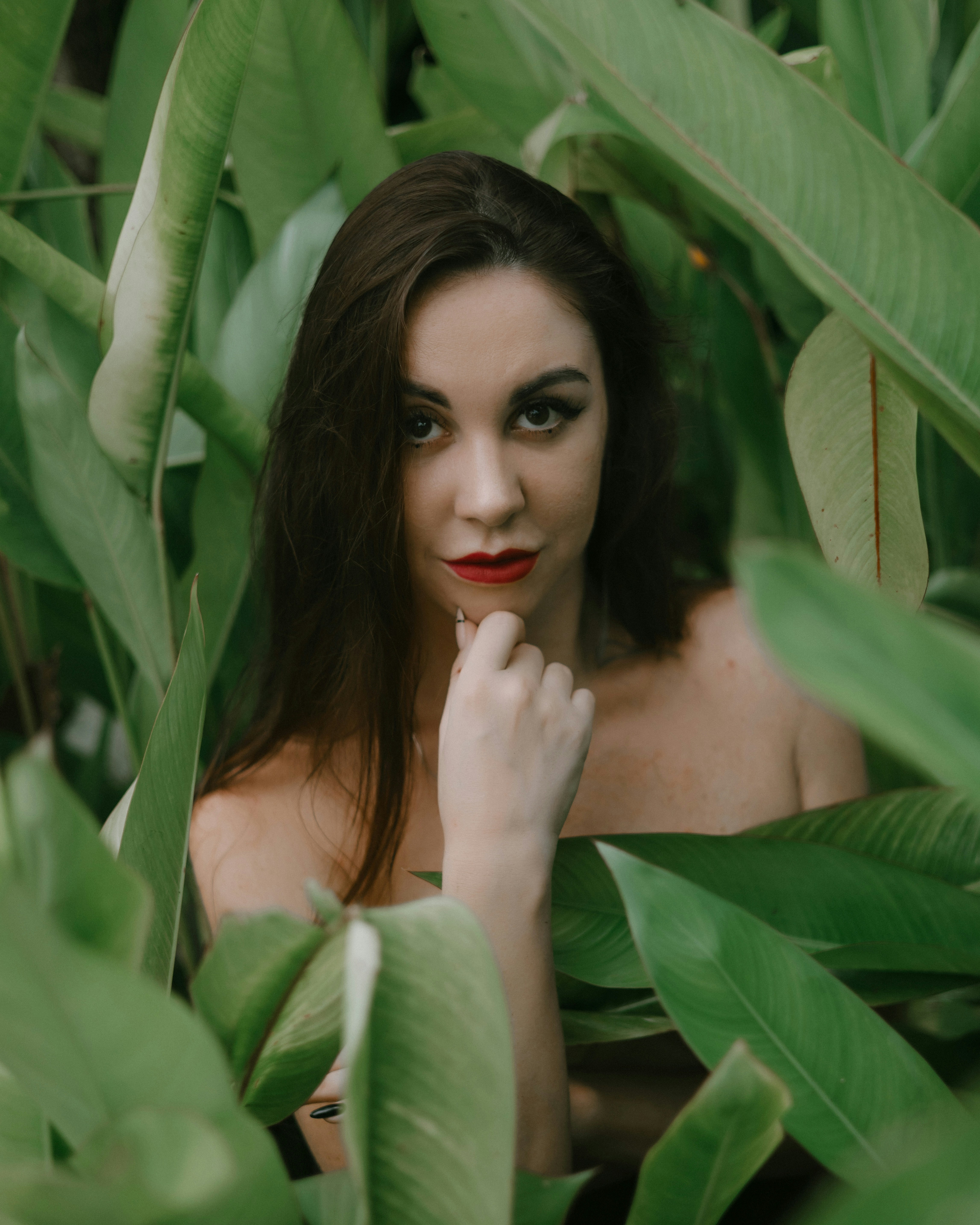 Forest & Flora