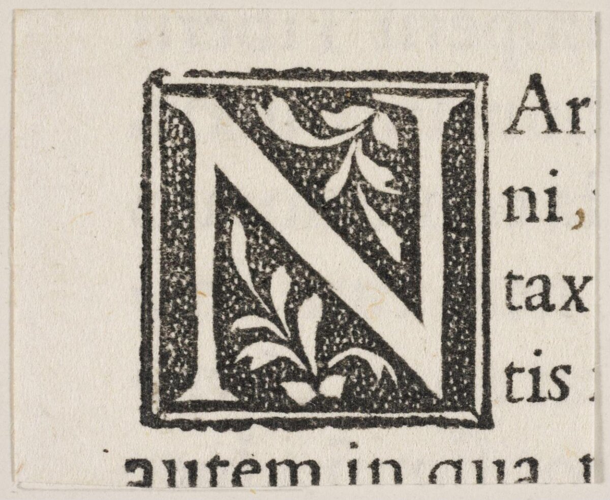 Antique Decorated Letter N Initial