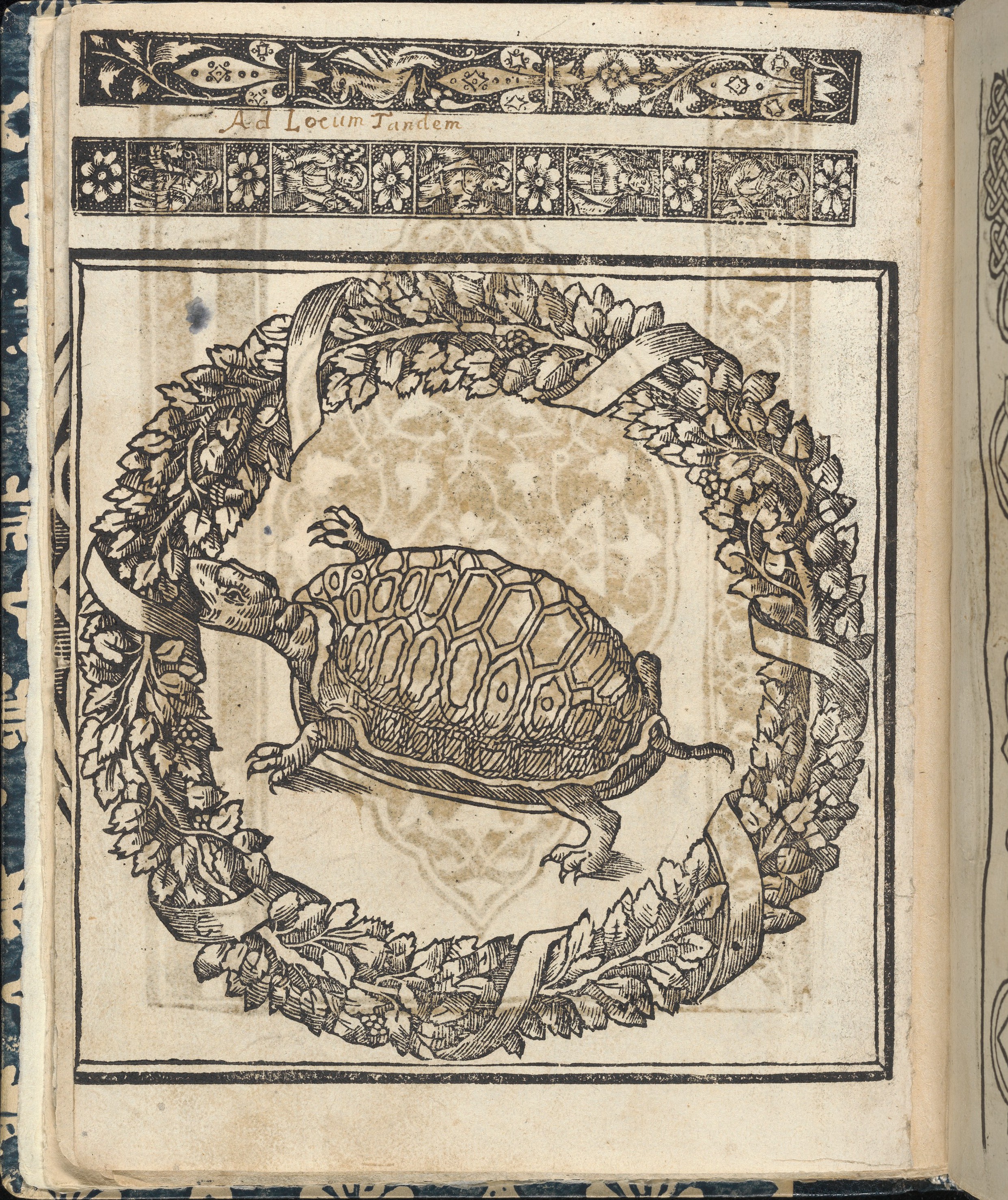 Antique Woodcut of a Tortoise