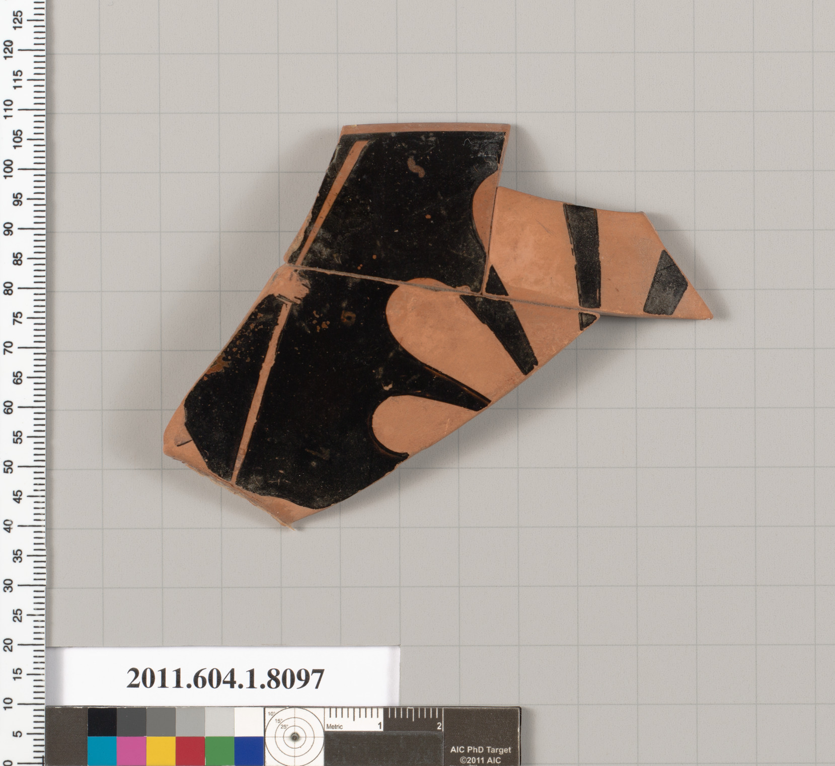 Ancient Terracotta Pottery Fragment