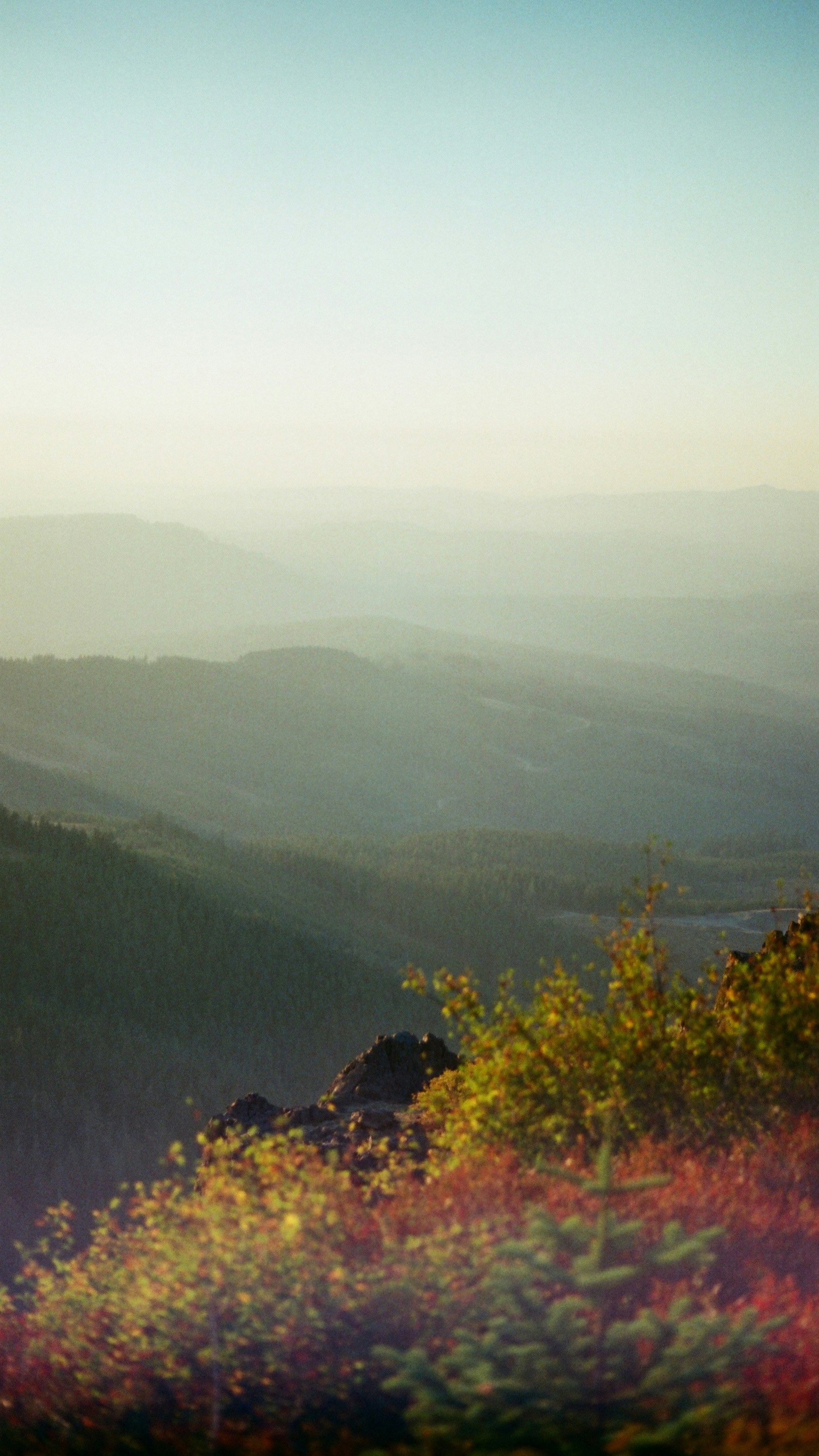Landscapes
