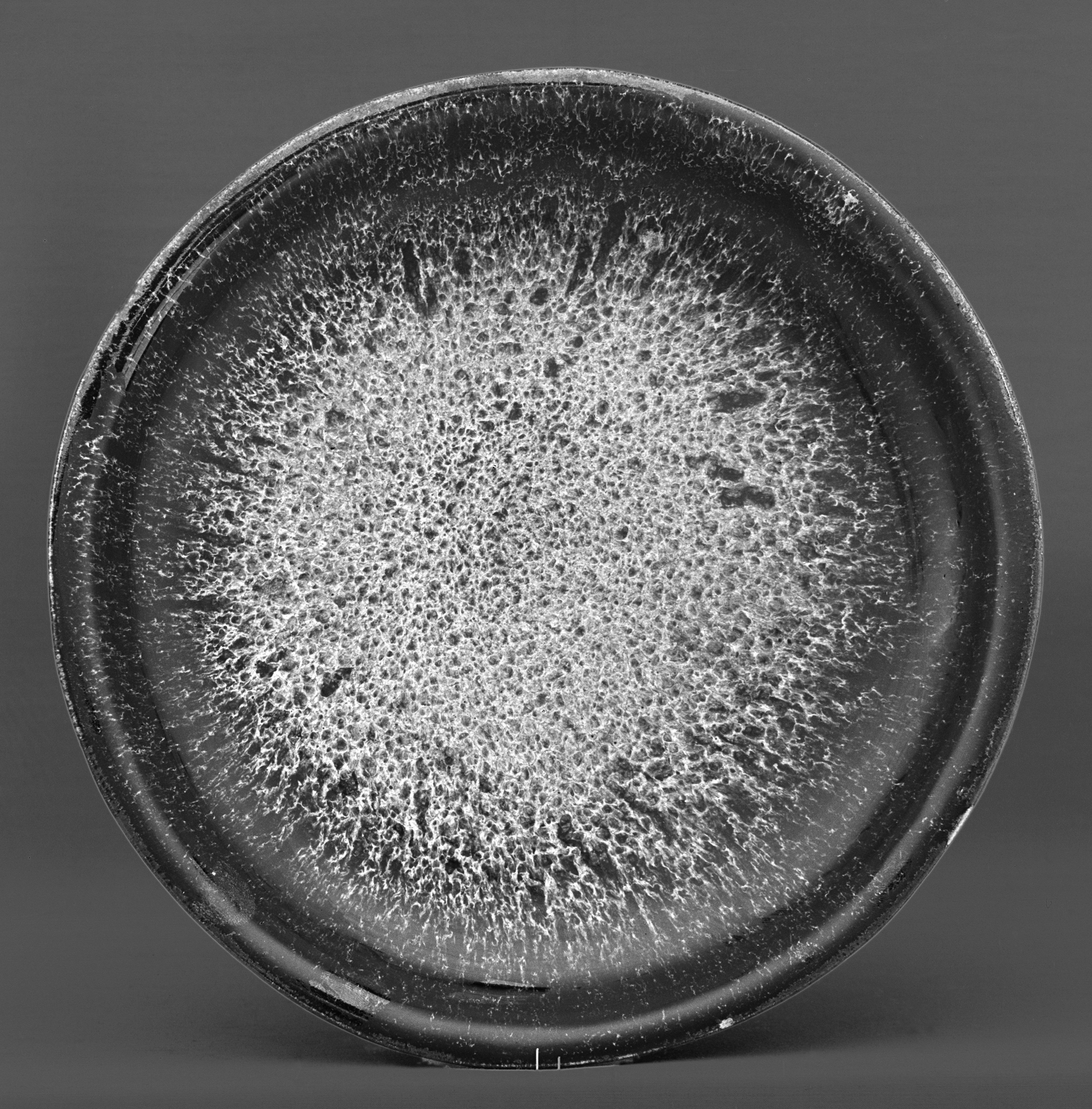 Textured Black Ceramic Round Plate